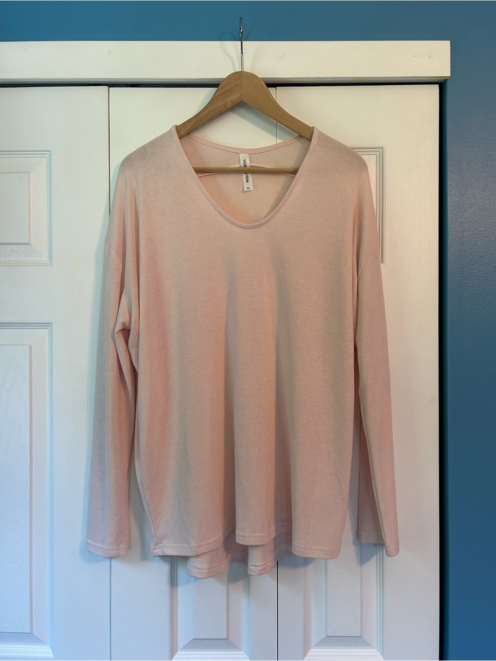 Tickled Teal Blush Pink Long Sleeve V-Neck Top